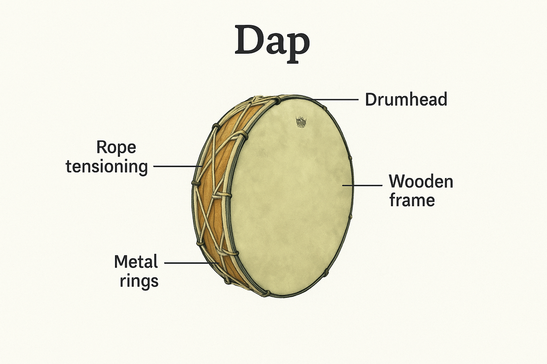 How to Choose the Right Dap: A Complete Buyer’s Guide