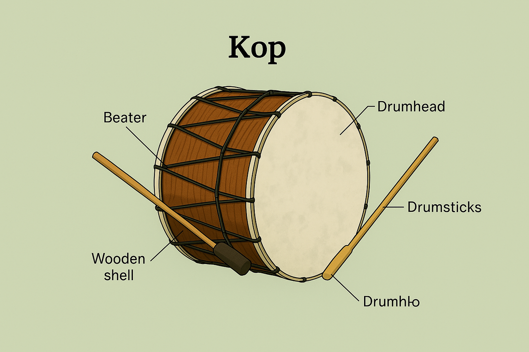 How to Choose the Right Dhol-Kopal: A Complete Buyer’s Guide